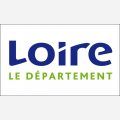 CONSEIL GENERAL LOIRE